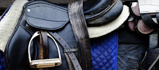 Equipement équestre