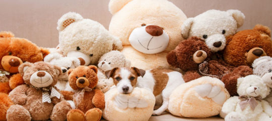 Peluche Ours