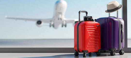 Valise